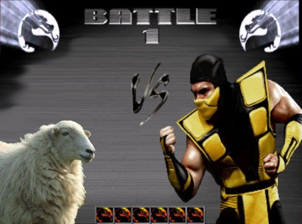 scorpion-vs-sheep