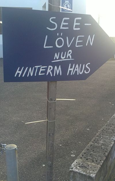 seelöwen-hinterm-haus