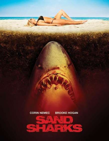 sand_sharks_2011