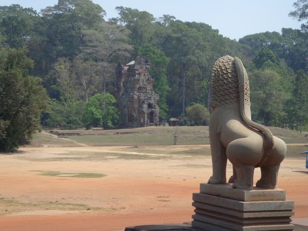 kambodscha löwe